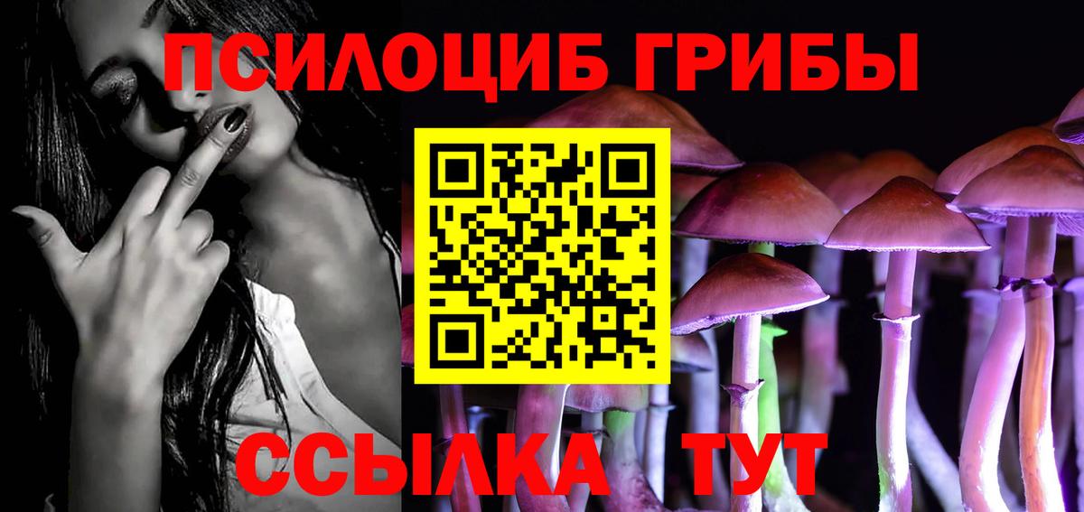 Галлюциногенные грибы Psilocybine cubensis Дербент